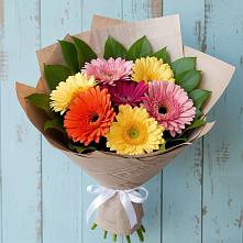 Букет цветов из:  Герберы в Агрызе
