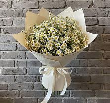 Букет цветов из:  Ромашки #REPLACE_PRED# Агрызе